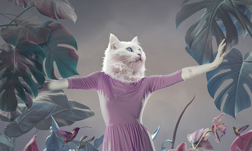 Surreal portrait of white cat Surreal portrait of white cat